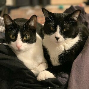 Fundraising Page: Jacob Praytor